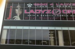 Ladyz Only Windows in printed vinyl