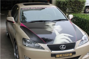 Ladyz only brushed aluminium with printed graphic on hood
