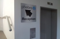 Phebra Reception Arrow Brushed Aluminium